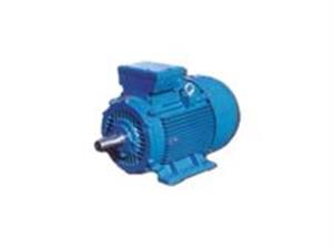 電動(dòng)機(jī)-電機(jī)-三相電動(dòng)機(jī)